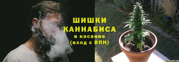мяу мяу мука Аркадак