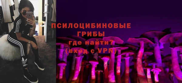 ГАЛЛЮЦИНОГЕННЫЕ ГРИБЫ Осинники