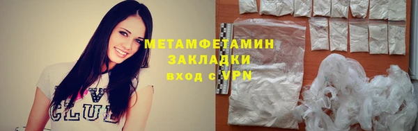 ГАЛЛЮЦИНОГЕННЫЕ ГРИБЫ Осинники