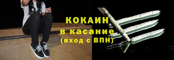 мяу мяу мука Аркадак