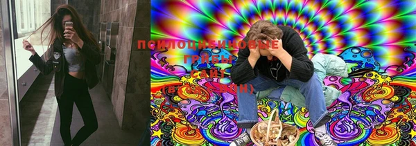 мяу мяу мука Аркадак