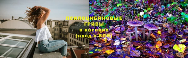 PSILOCYBIN Арсеньев