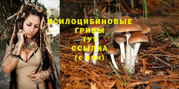 PSILOCYBIN Арсеньев